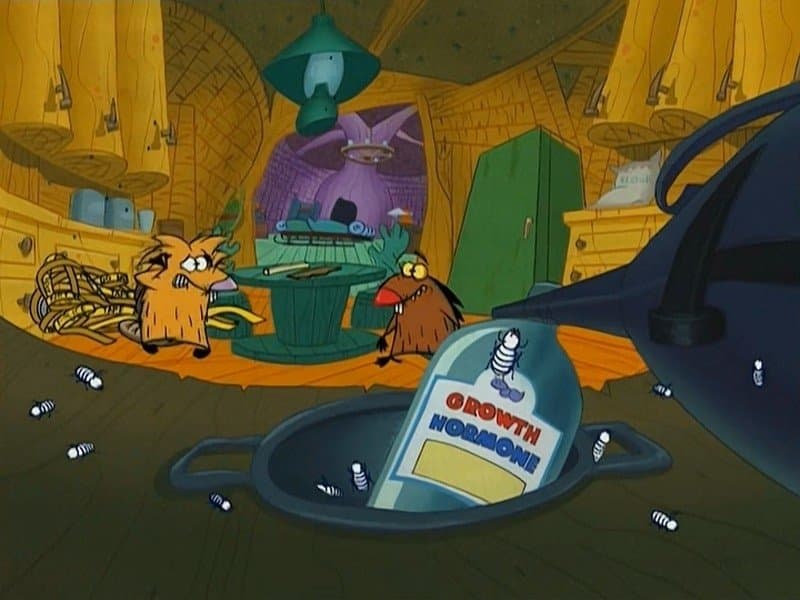 Still from All in the Colony