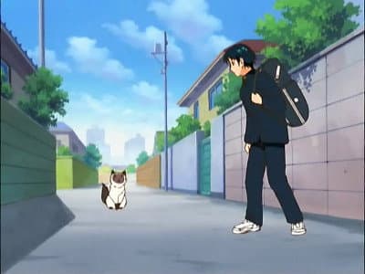 Still from Karupin's Adventure