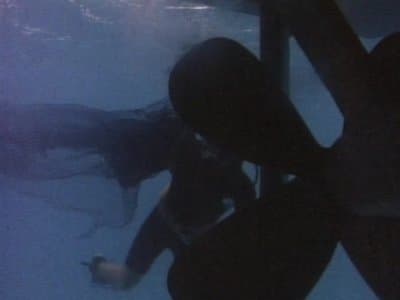 Still from The Greek
