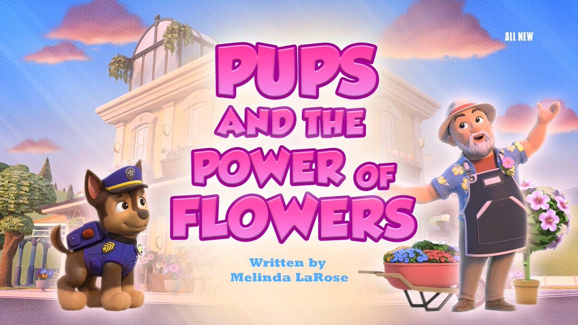 Still from Pups and the Power of Flowers