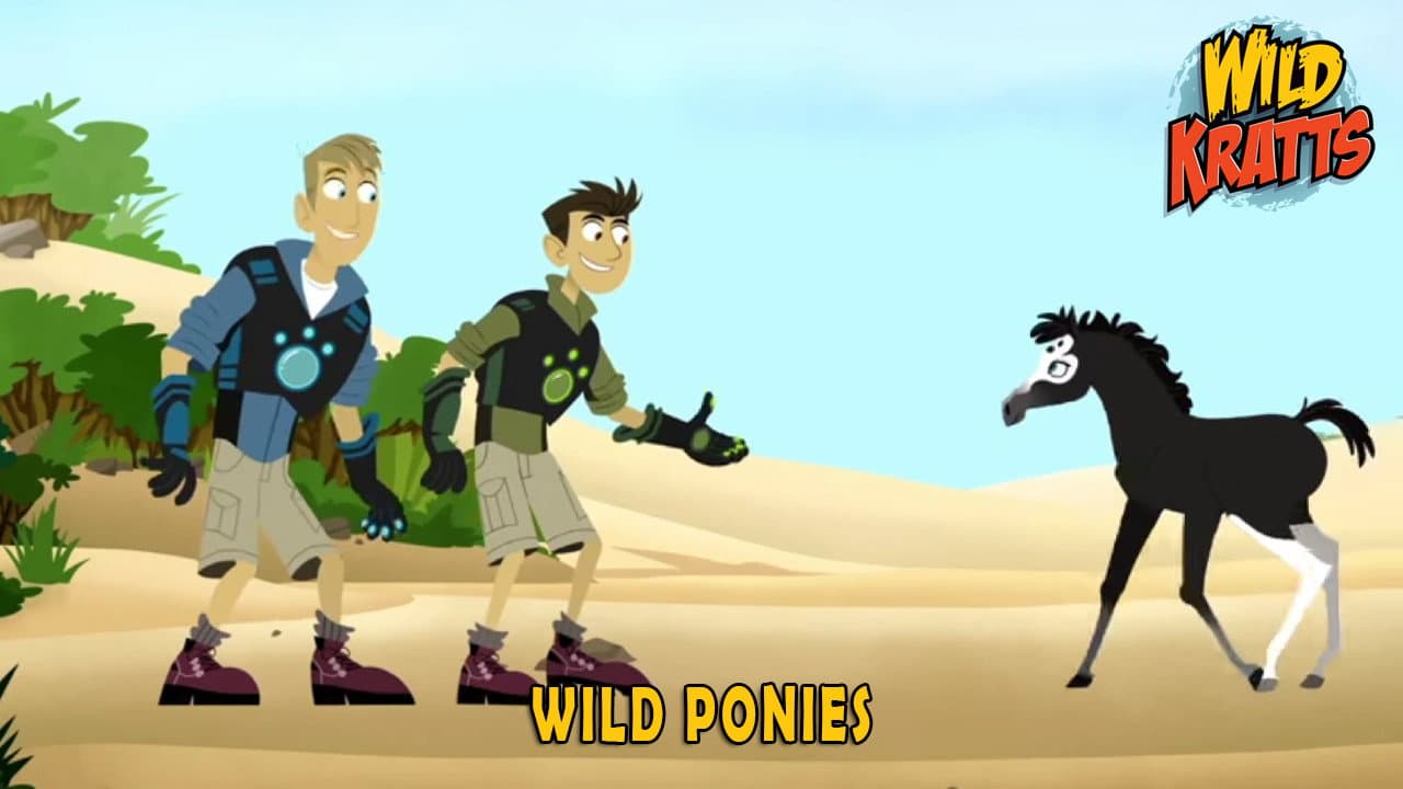 Still from Wild Ponies