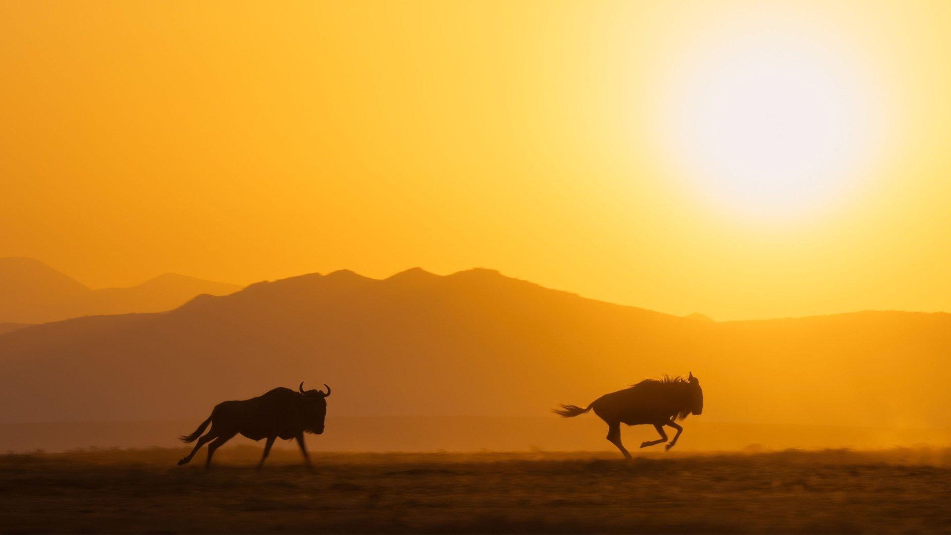 Still from The Sun