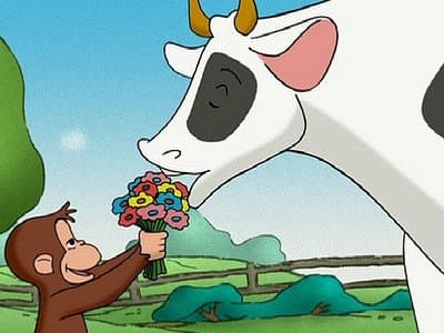 Still from Keep Out Cows