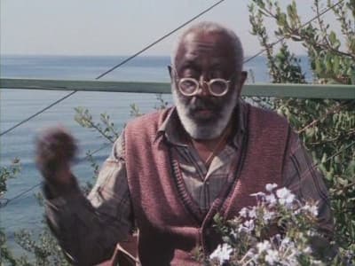 Still from Fuzzy Vision