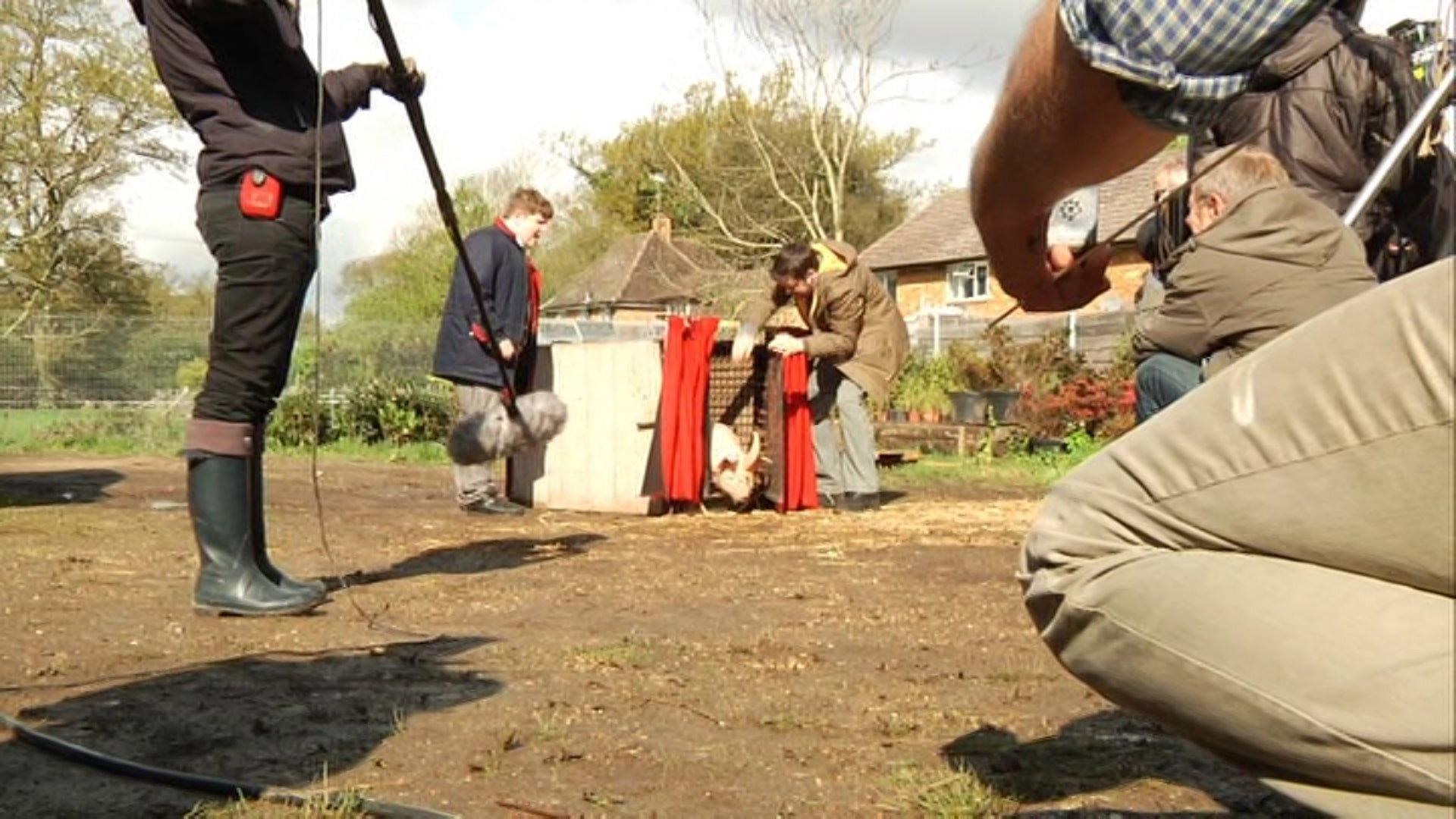 Still from Bad Edumaking Of