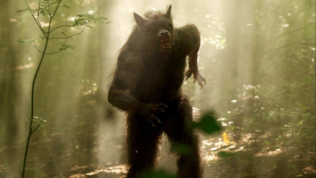Still from Cure and Contagion