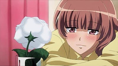 Still from Sakura's Indie-Label Love