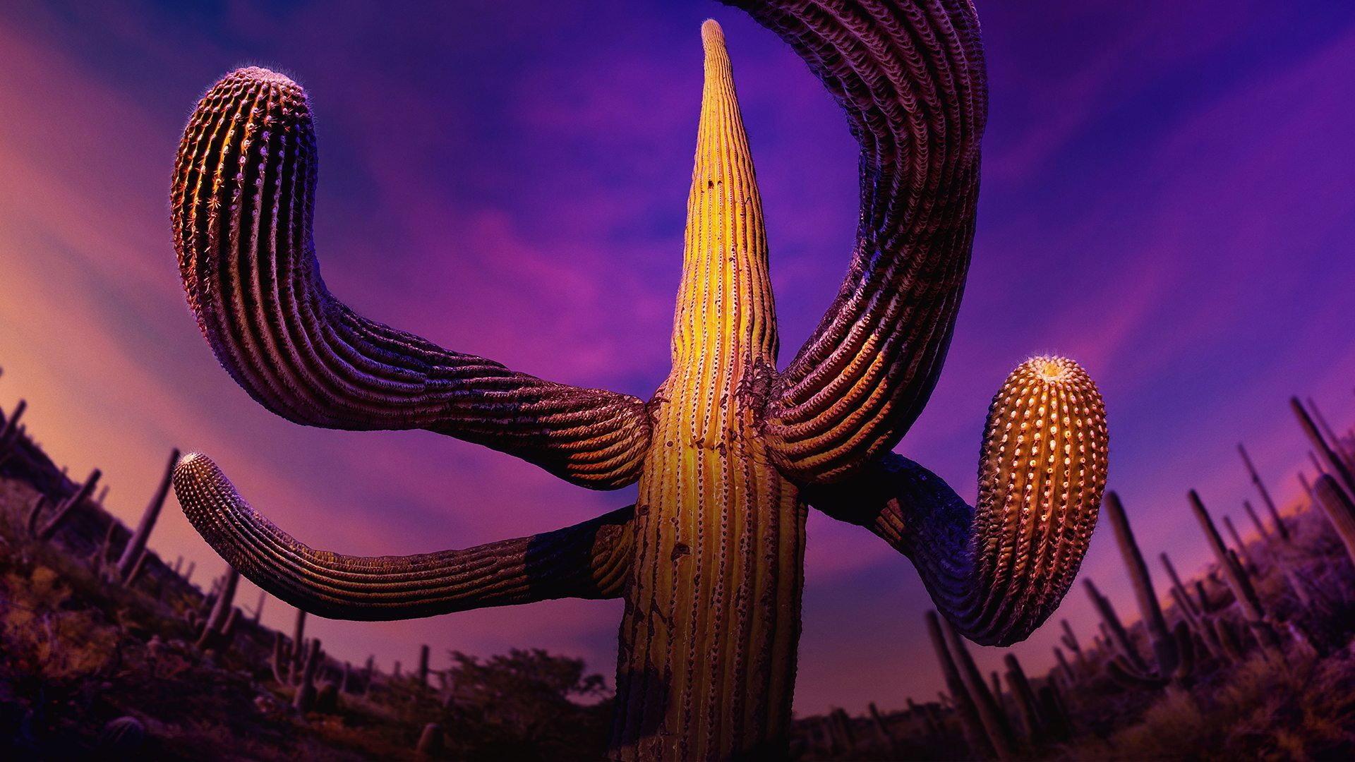 Still from Human Worlds