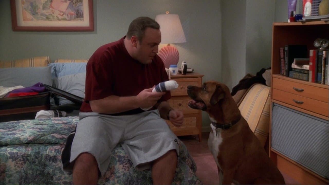 Still from Dog Shelter