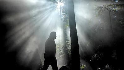 Still from Cosmic Dawn: The Real Moment of Creation