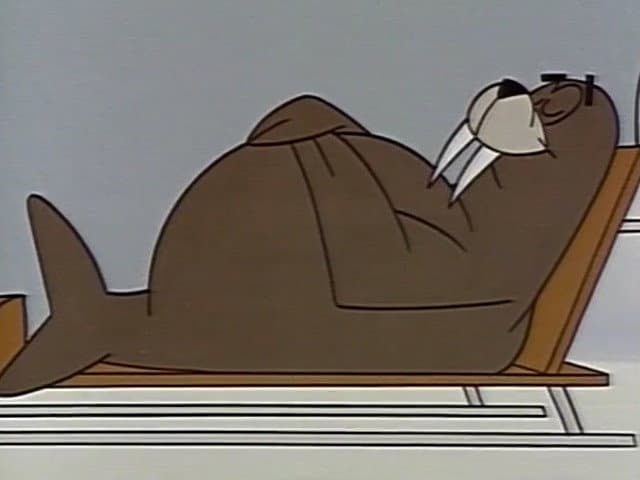 Still from Walrus Enroute