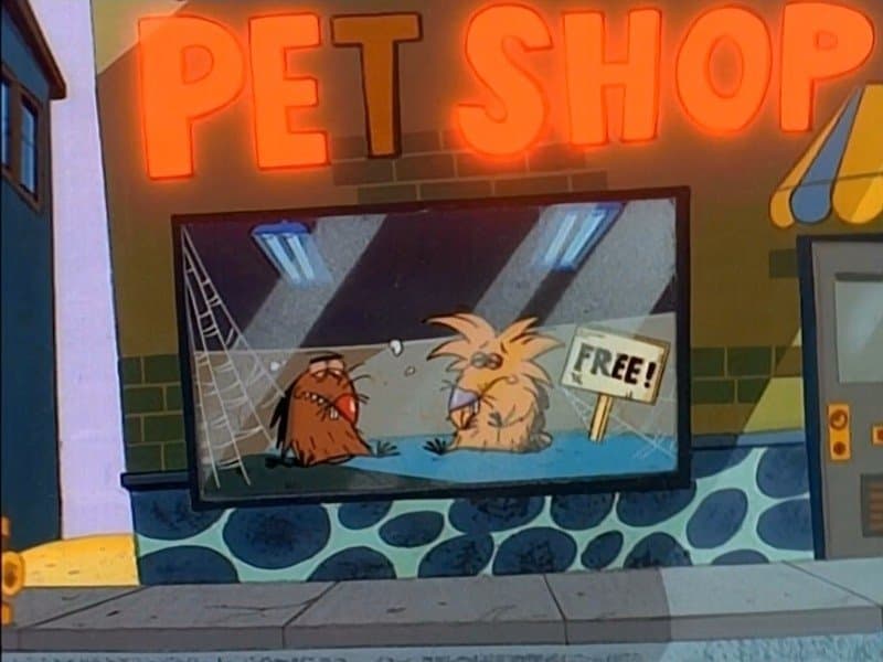 Still from House Broken