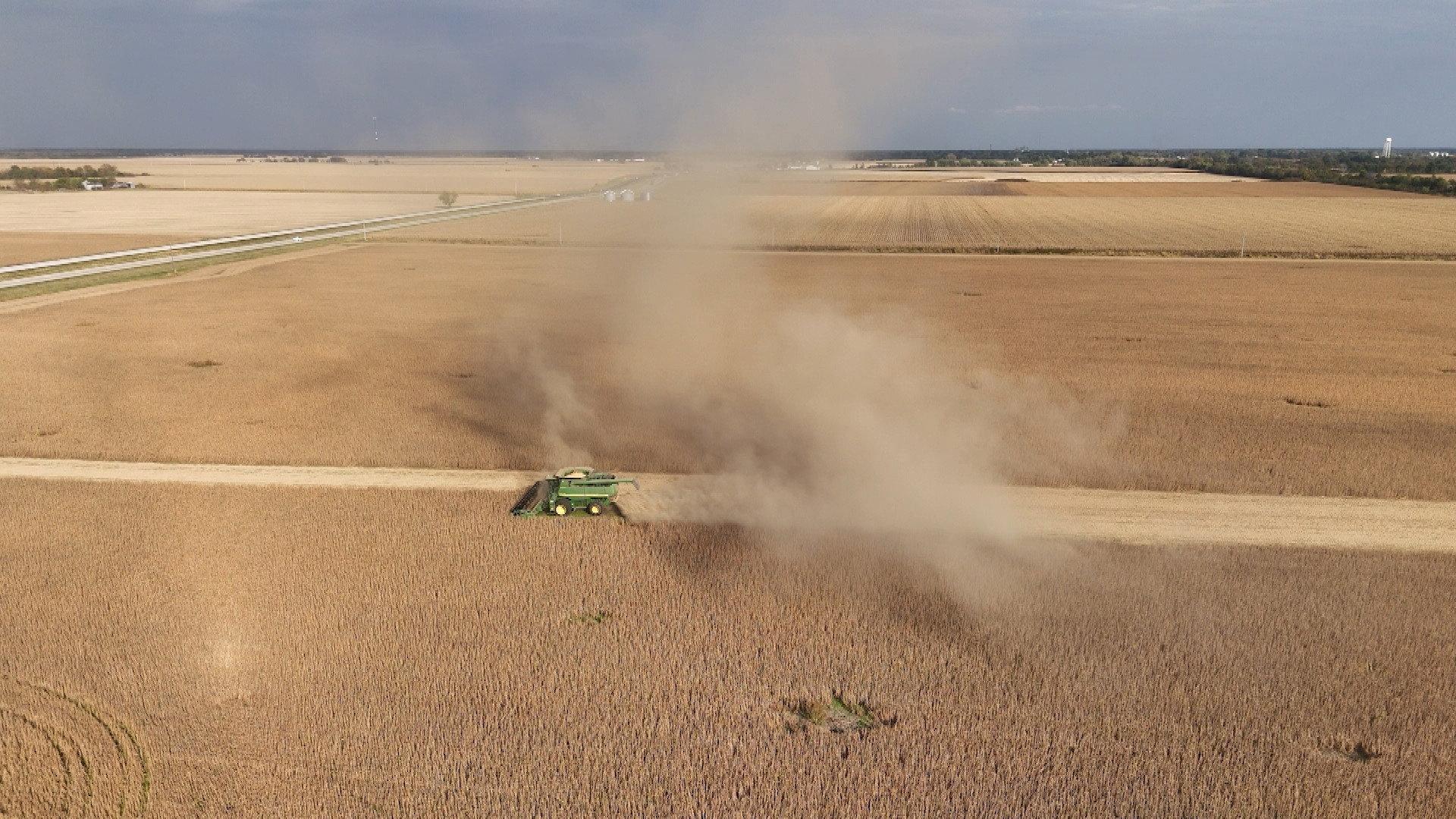Still from The Family Farm; Collateral Damage; The Indomitable Margaret Atwood