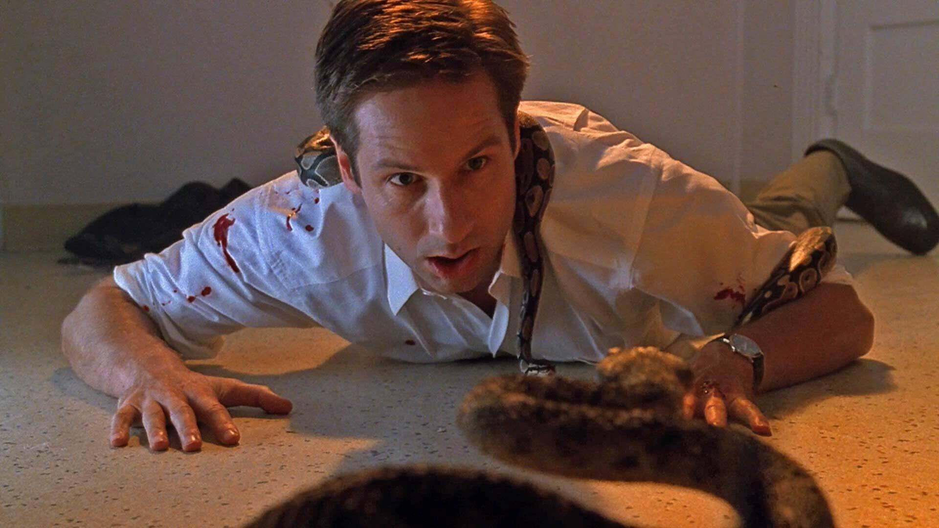 Still from Signs and Wonders
