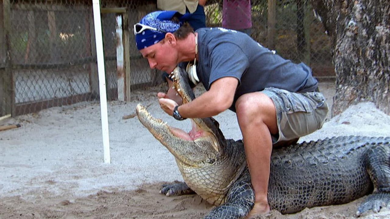 Still from Swamp Tech