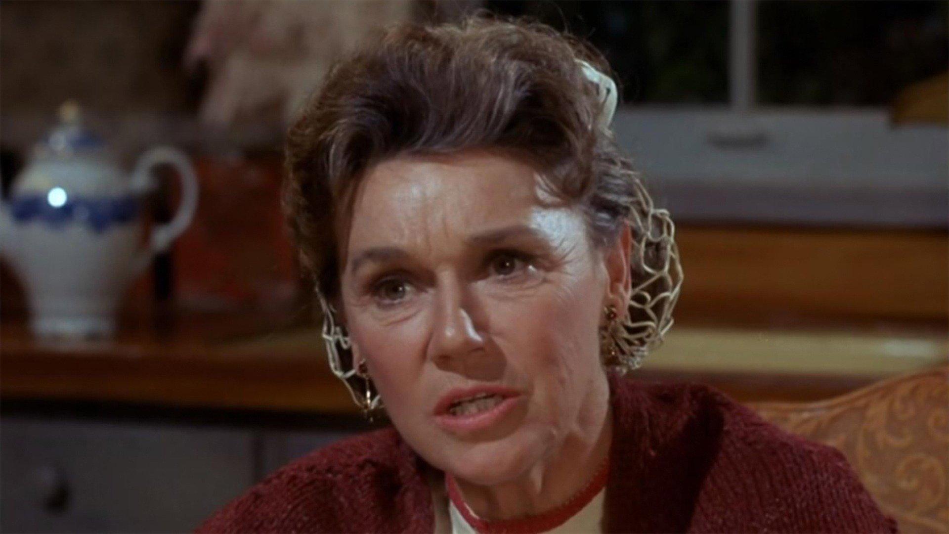 Still from The Handy Man