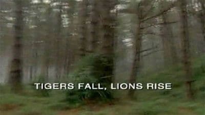 Still from Tigers Fall, Lions Rise