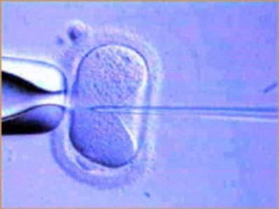 Still from 18 Ways to Make a Baby