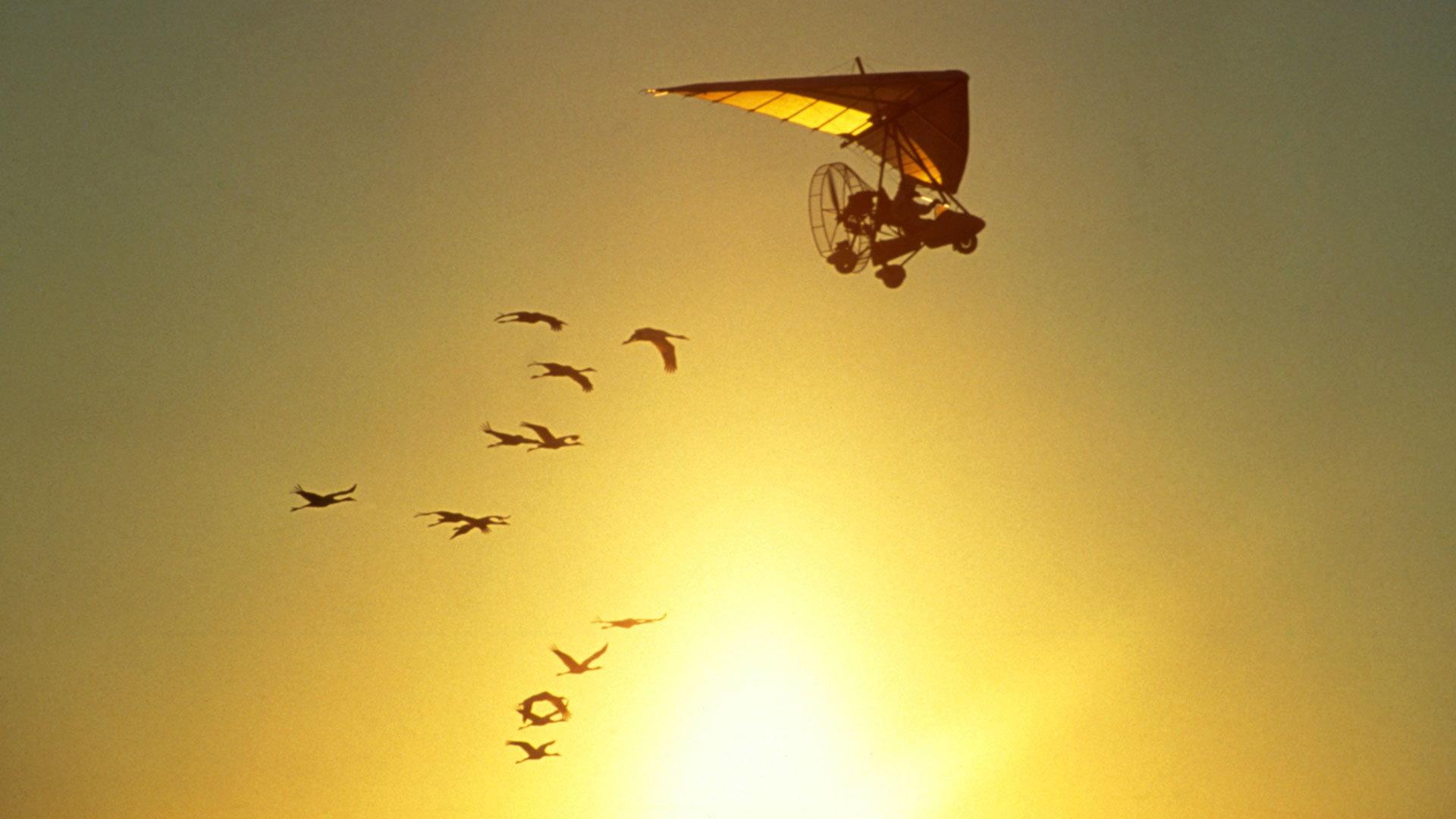 Still from Flight School