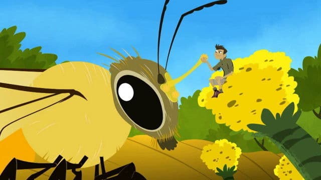 Still from Flight of the Pollinators