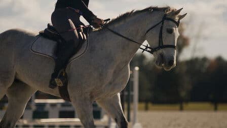 Still from Horse Hitman