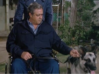 Still from Programmed for Panic