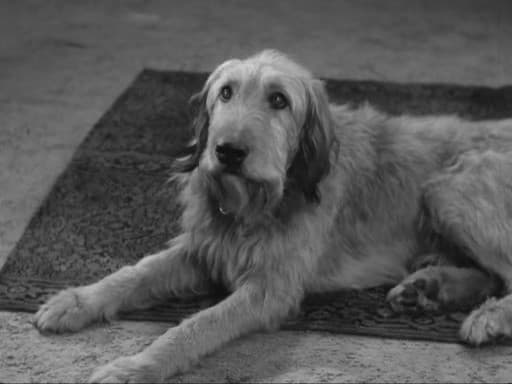 Still from Craig's Will