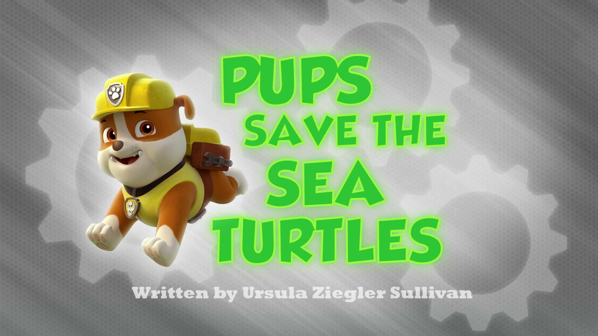 Still from Pups Save the Sea Turtles