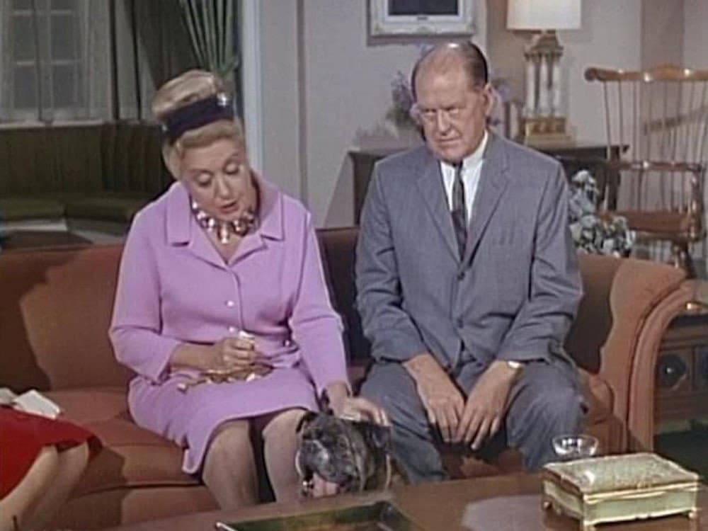 Still from It's a Dog's Life (a.k.a) It's a Dog's World
