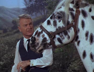 Still from Horse? What Horse?