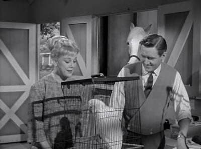 Still from Ed the Emancipator