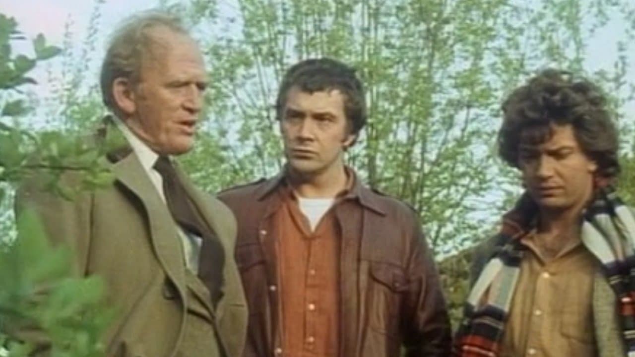 Still from No Stone