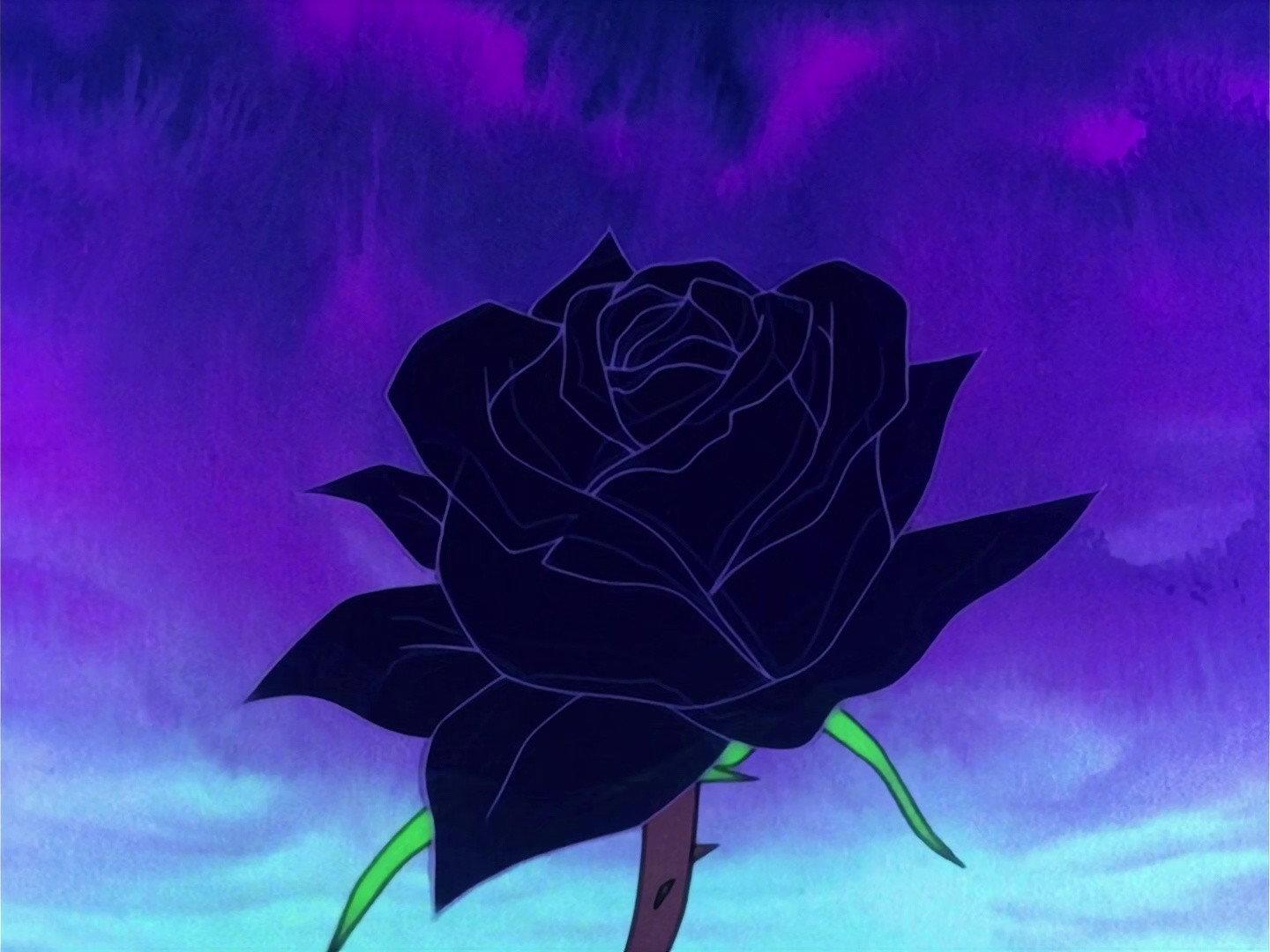 Still from Life on a flower