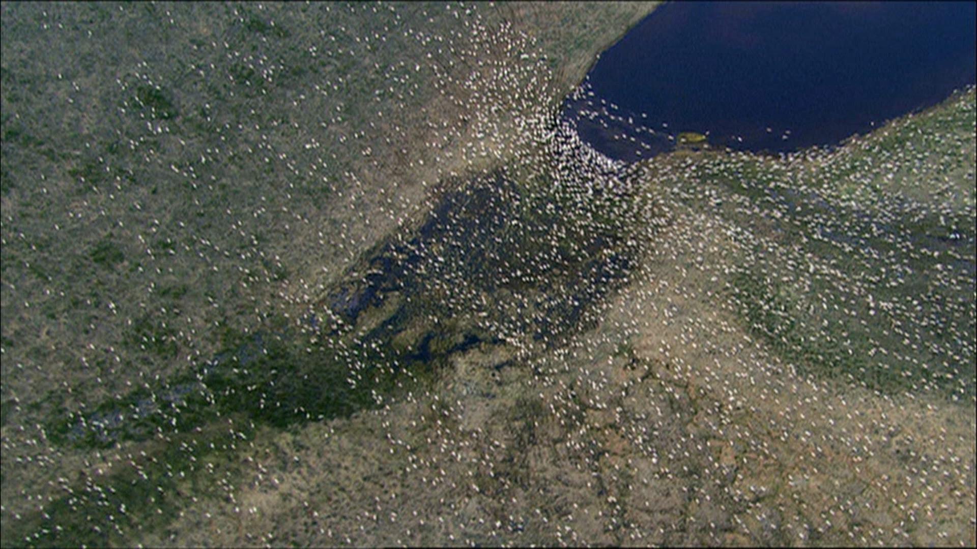 Still from Great Planet Earth Moments