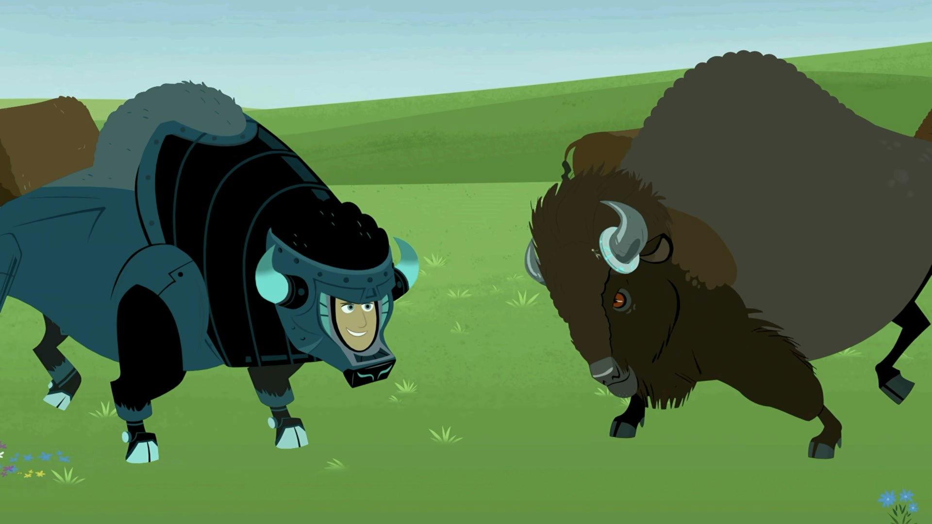 Still from Where the Bison Roam