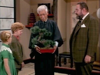 Still from Mr. Osaki's Tree