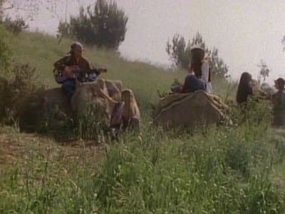 Still from Brightwing