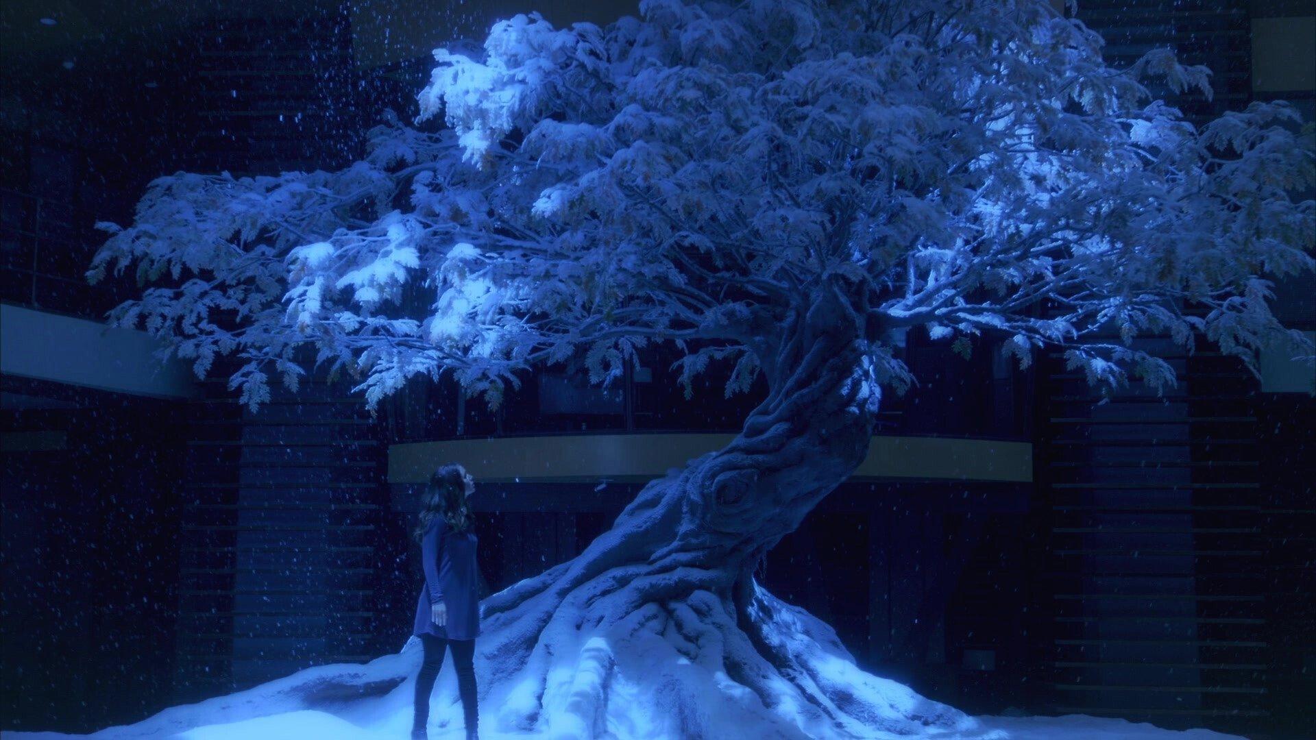 Still from The Attic