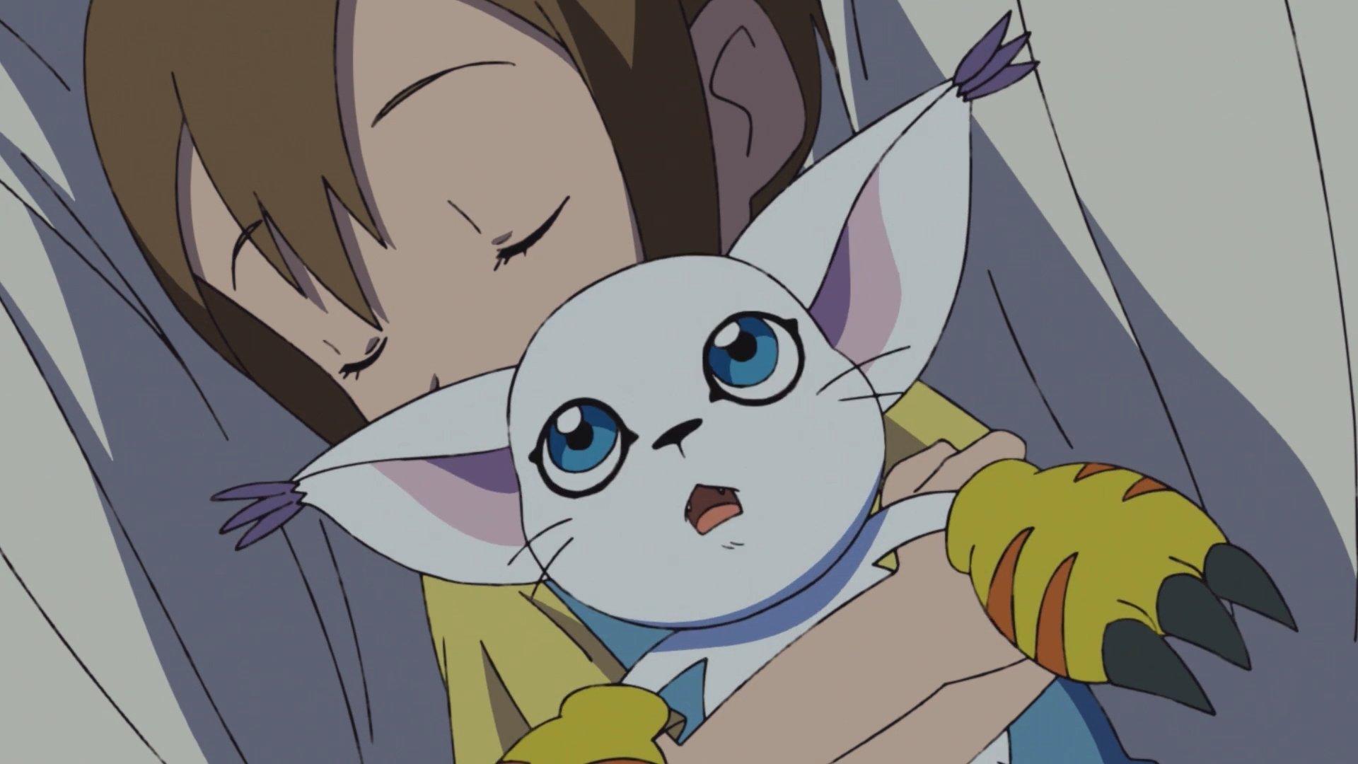 Still from Hikari and Tailmon