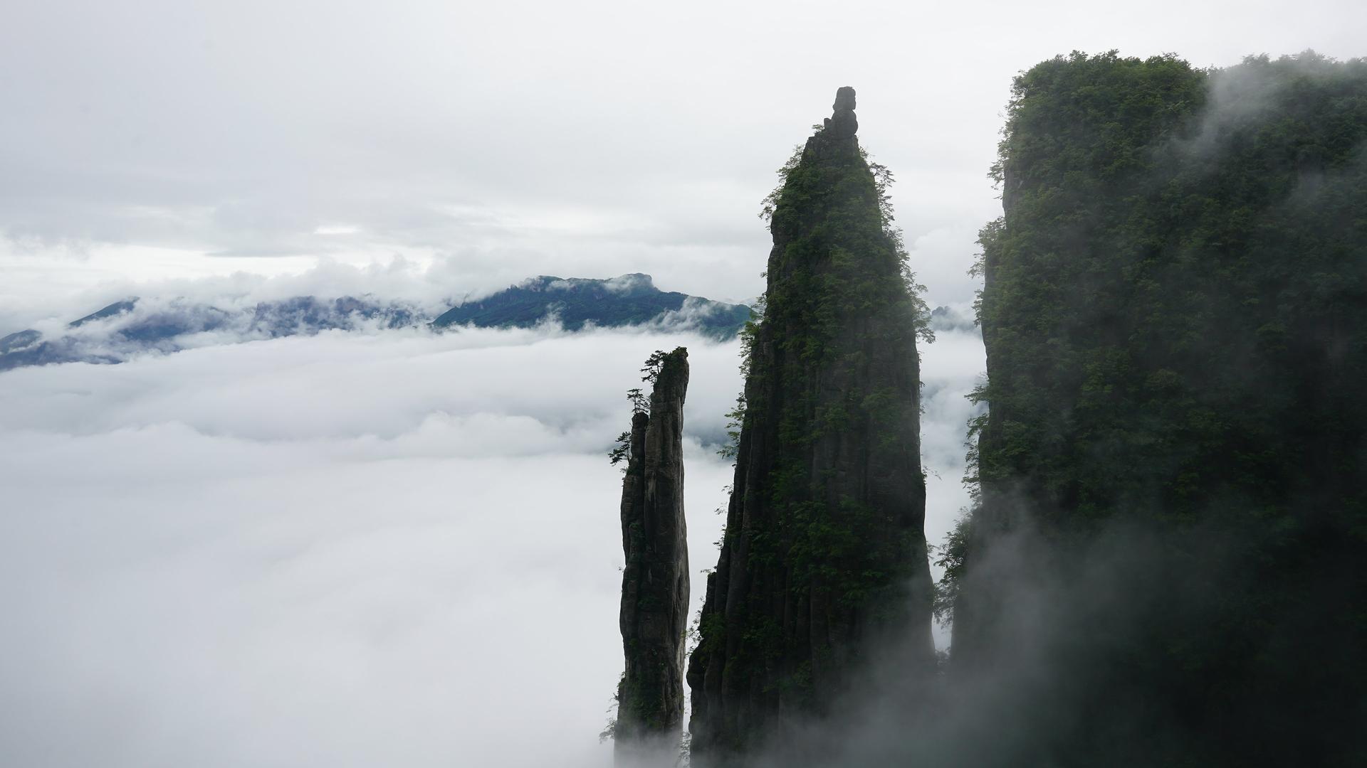 Still from Terraform