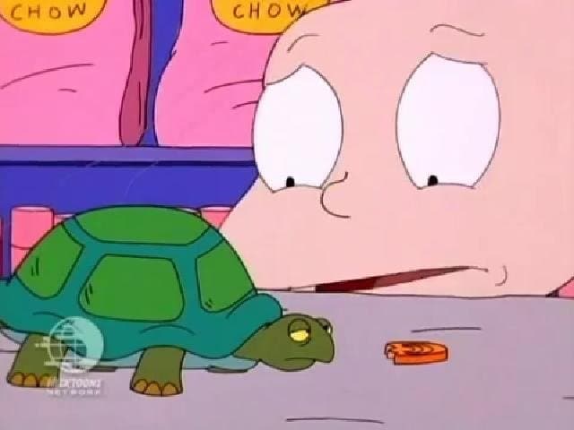 Still from Turtle Recall