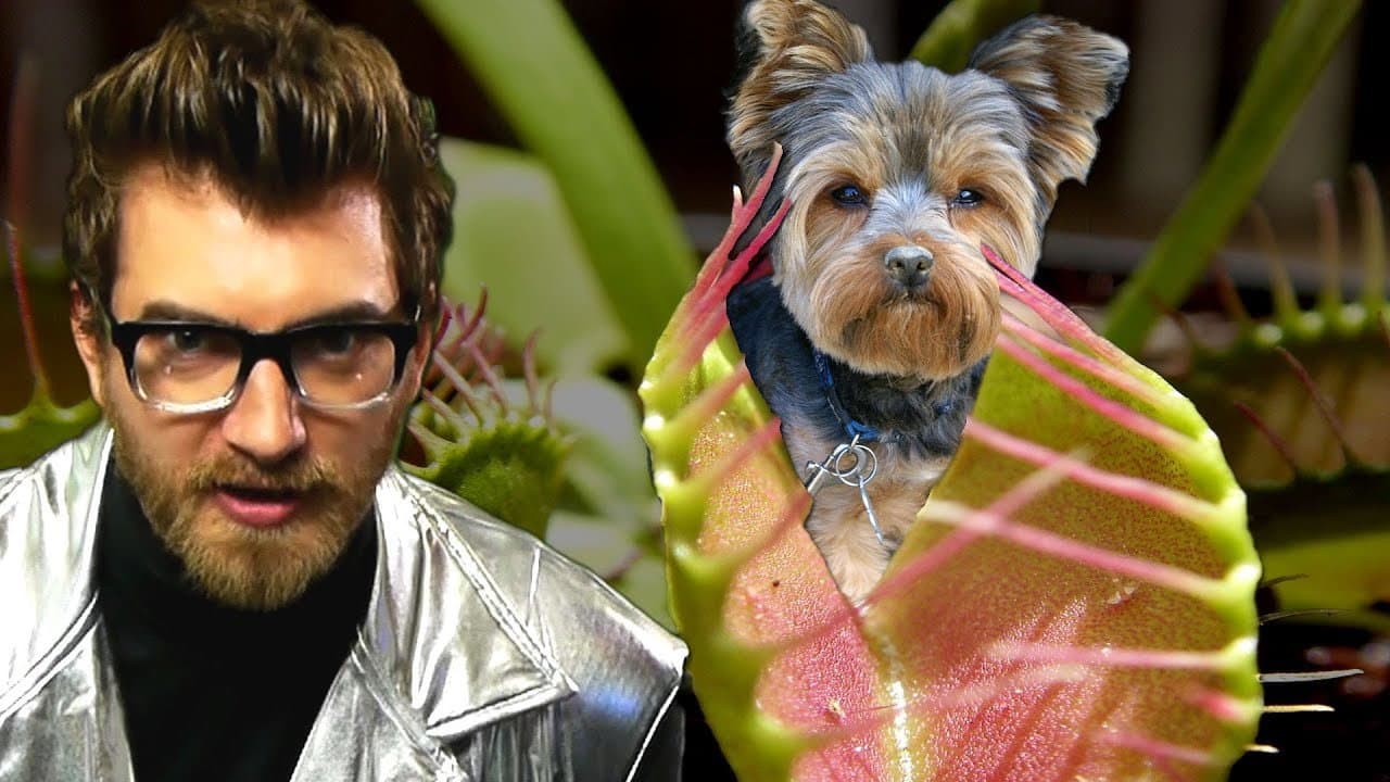 Still from Dog-Eating Plants