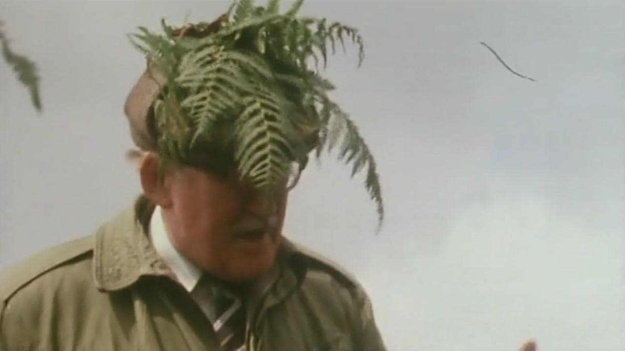 Still from The Arts of Concealment