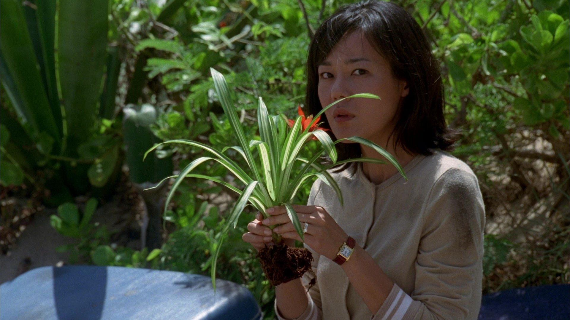 Still from House of the Rising Sun