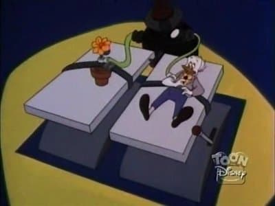 Still from Beauty and the Beet