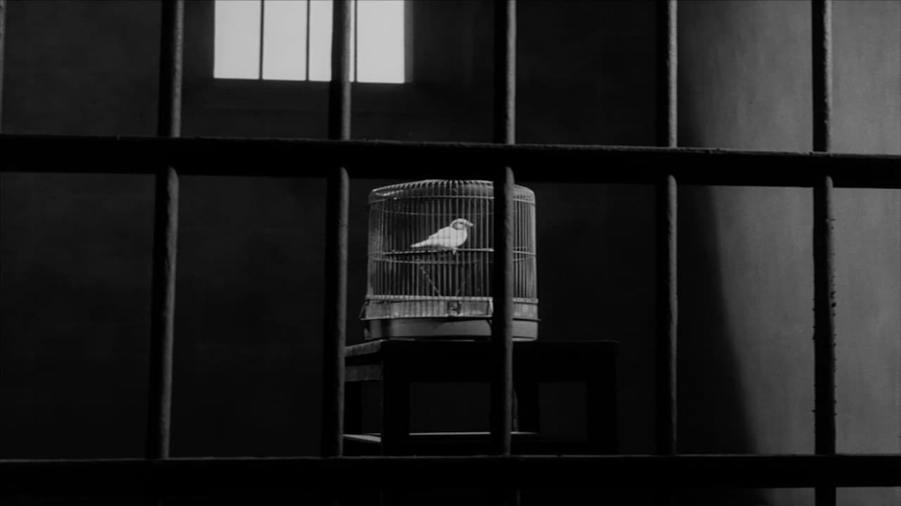 Still from I Saw a Bird