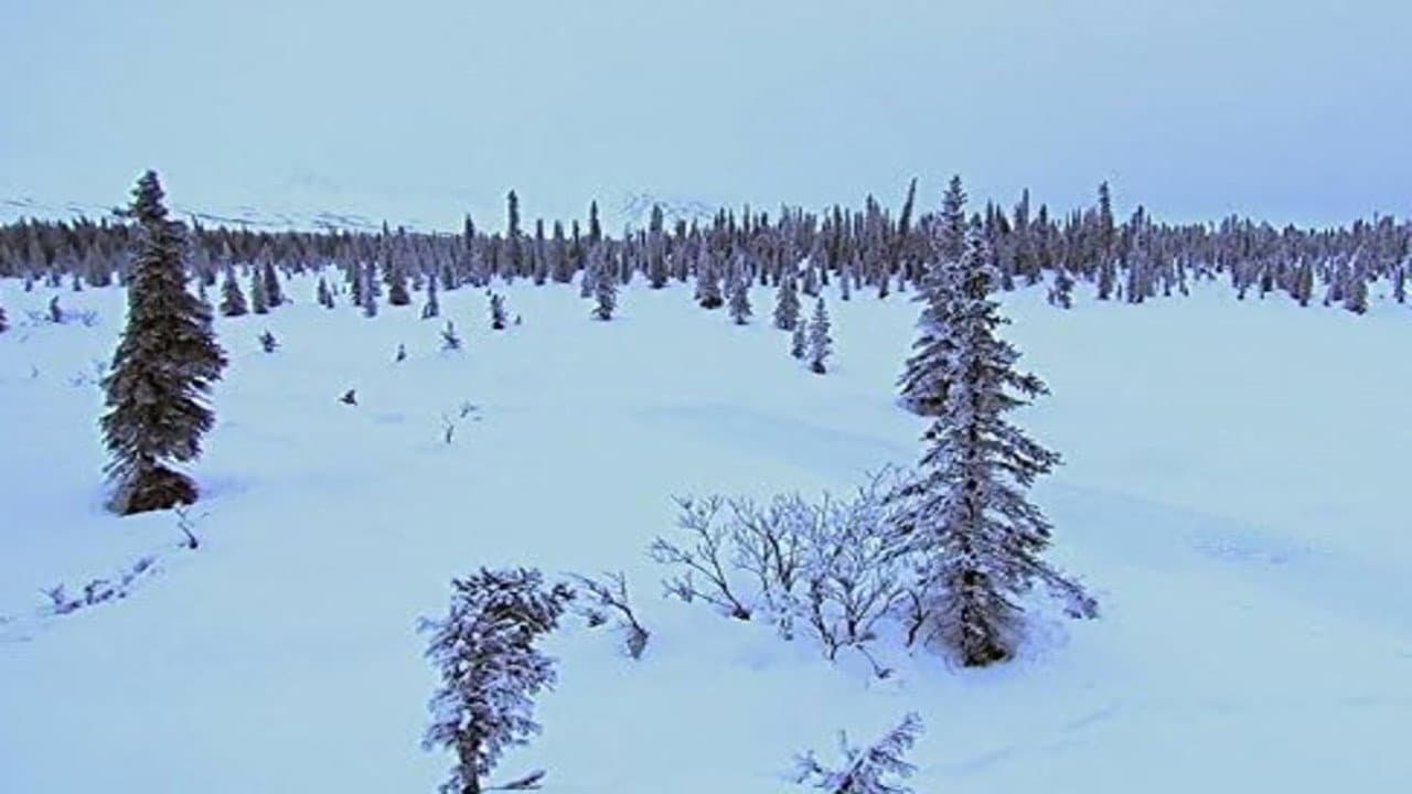 Still from The Wasteland