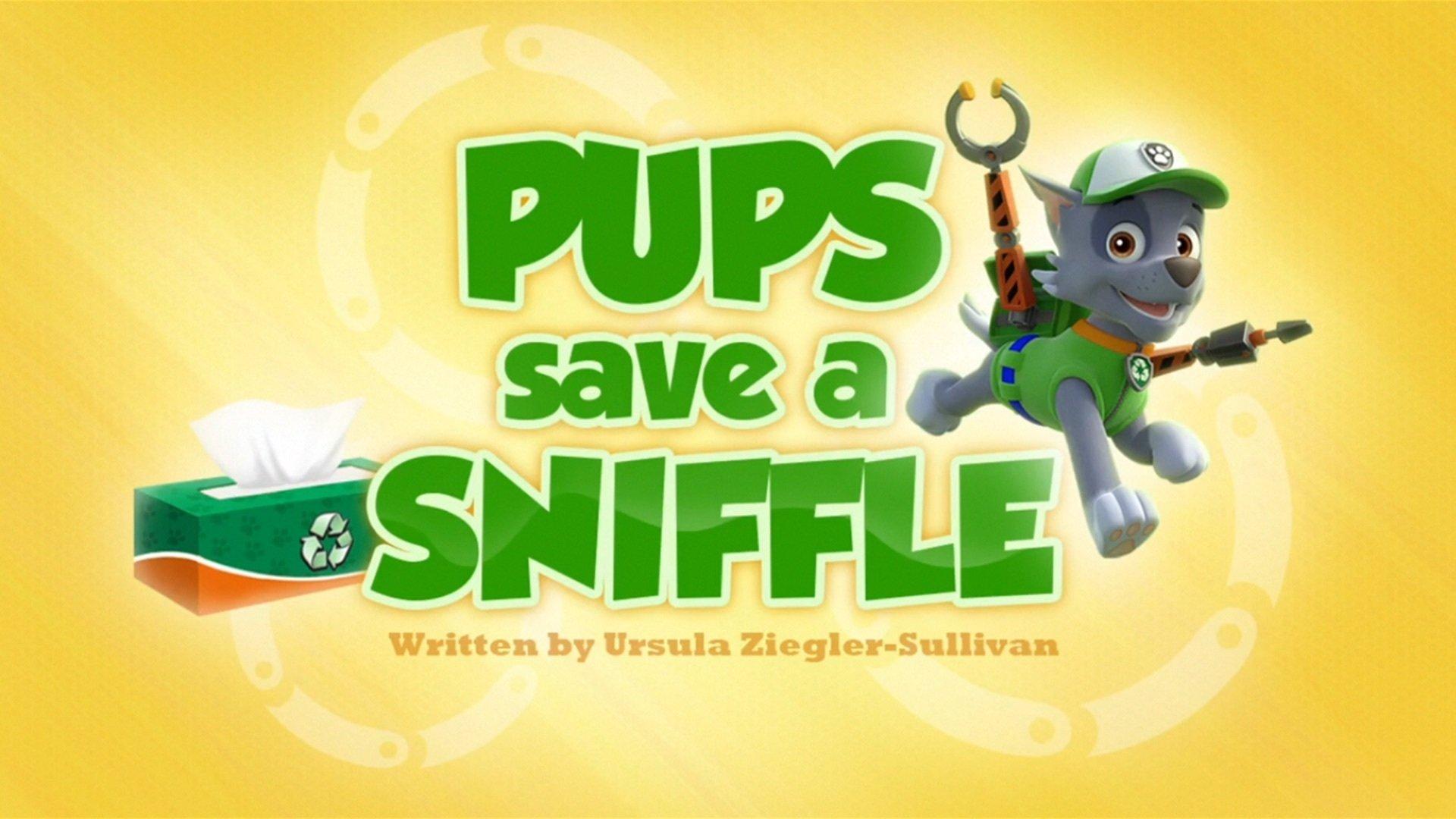 Still from Pups Save a Sniffle