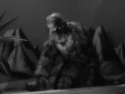 Still from The Duplicate Man