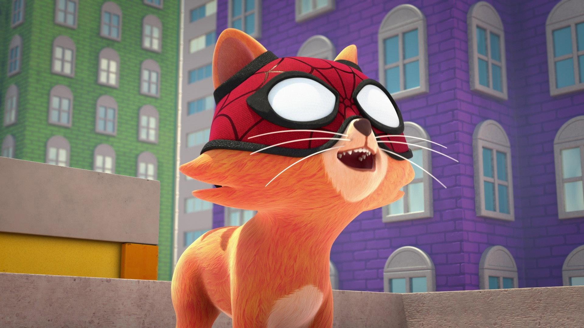 Still from Spidey Cat